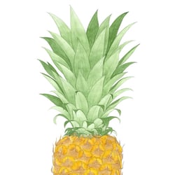 Ananas