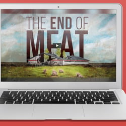 „The End Of Meat“