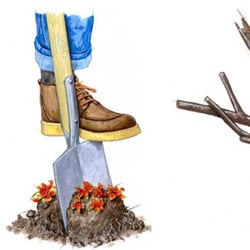 Gartenarbeiten _ „Selber Machen“ Jahreszeiten Verlag