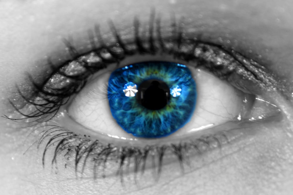 Das Auge