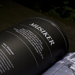 Text zu Musikerportraits