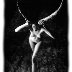 Steinbock