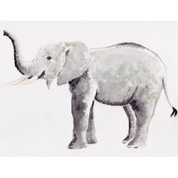 kleiner Elefant
