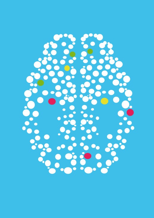 cerebr03