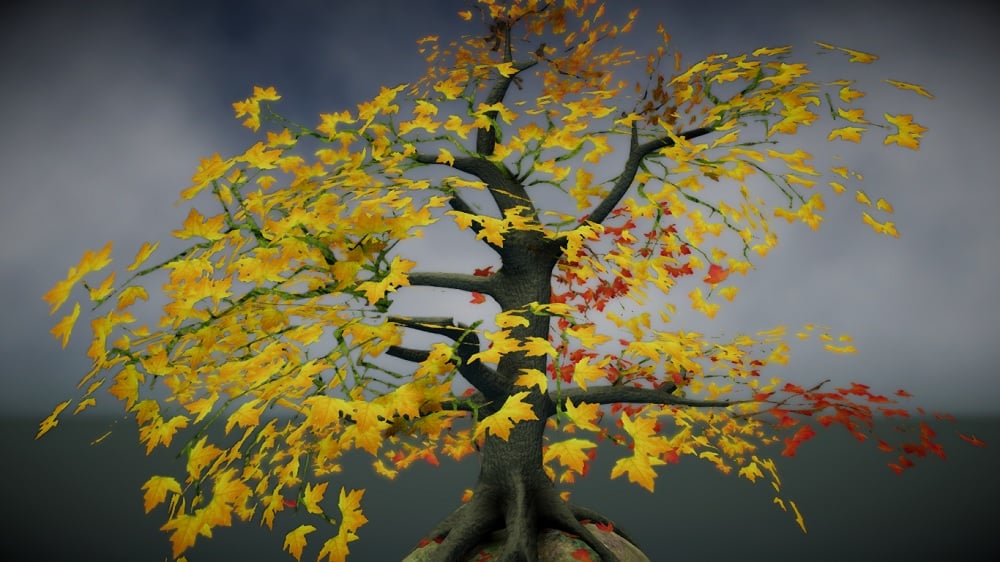 Maple Tree