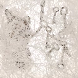 Chiharu Shiota