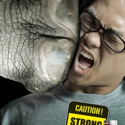 Projekt: Kampagnenidee, Rhino’s • Kunde: Hello AG