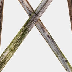 Crosslines XXIII