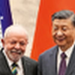 „Im globalen Dschungel“