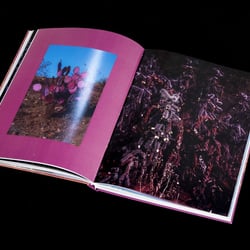 Studio Last – Hidden Hills