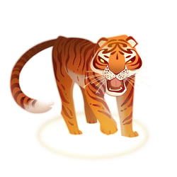 tiger