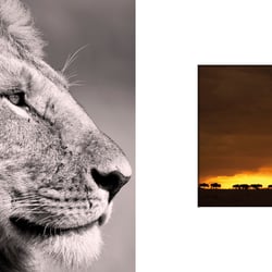 EMOTIONALE MOMENTE by INGO GERLACH