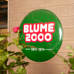 Blume 2000