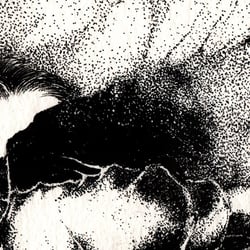 CD Cover_detail