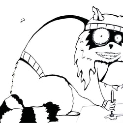 Waschbär 2