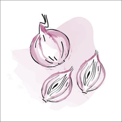 081215 kochbuch illustration 08