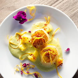09 Scallops Orangenbutter