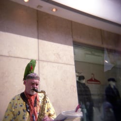 Papagei