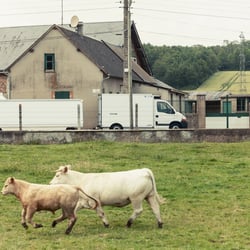 Businessfotografie