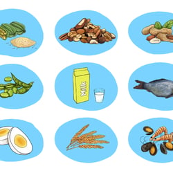 All illustrated images
