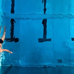 Schwimmer