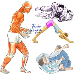 Sportillustrationen: Kampfsport, Yoga und Anatomie