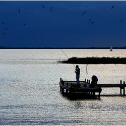 Silver Fishing