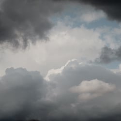 DSC2623