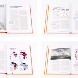 Buch – Deutschland und die Welt 2030 7