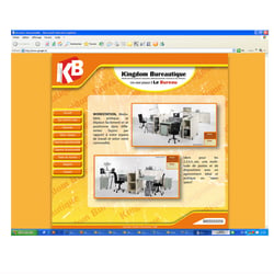 PORTFOLIO 2008-2009