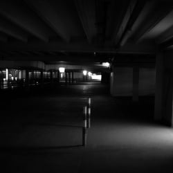Observation – Fine Art Photo Series