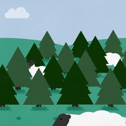 Bio_Screen_3