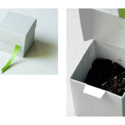 Packaging >Hoffnung<