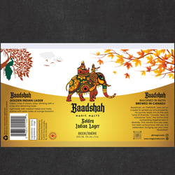 Baadshah 7