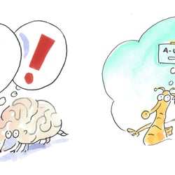 Stress Bewertung durch Hirn / durch den Hippocampus