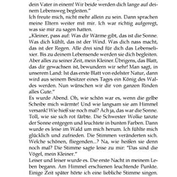 layout-14