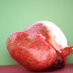 Granatapfel November 2012