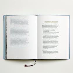 Doppelseite mit Lead-In