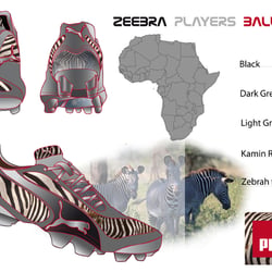 zeebra players ball 2010