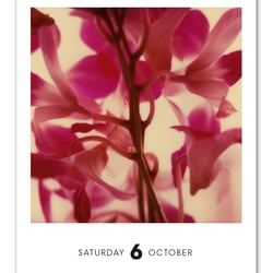 Poladarium 2012