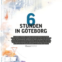 Magazinillustration Kater Demos