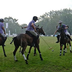 polo bs kl 15