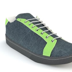 Shoe 02