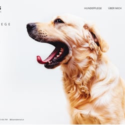 Danis Hundesalon