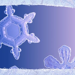 Snow 20