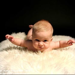 Nasenrunzler im Studio – der kleine Flieger