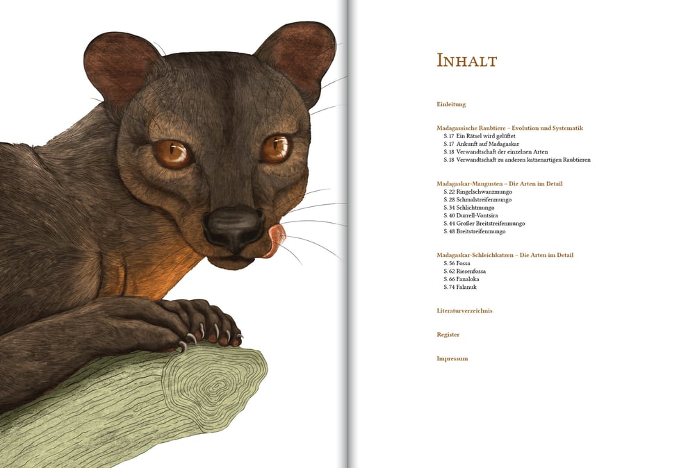 Inhalt
