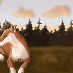 Illustration aus dem Kinderbuch „Knuffelwalds Tierkinder“