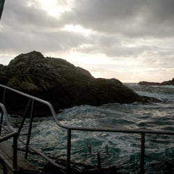 Doubtful Sound
