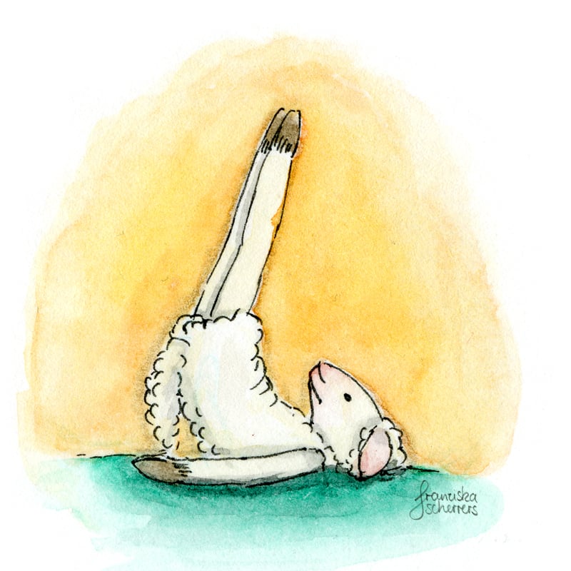 Yogaschaf 1